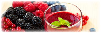 berry juice concentrate suppliers in the usa